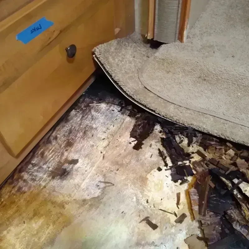 Wood Floor Water Damage in Lancaster, PA